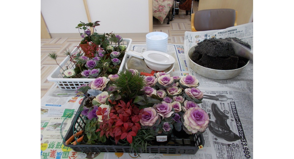 盆栽を作りました!